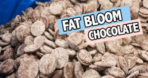 fat bloom chocolate